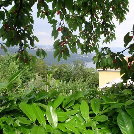 Jelka Apartment Opatija