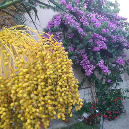 Apartment Jelka Opatija