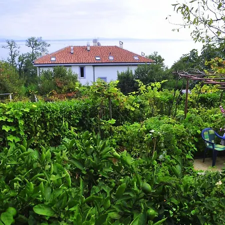 Jelka * Opatija