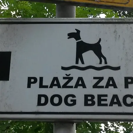 Jelka